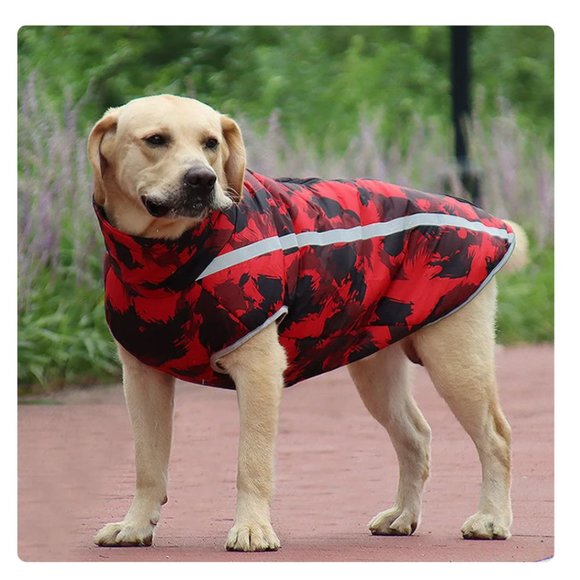 THE DOG BOX Reflective Dog Vest in Red Camouflage - Picture 2 of 13